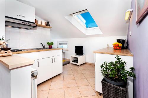 Apartman Milina