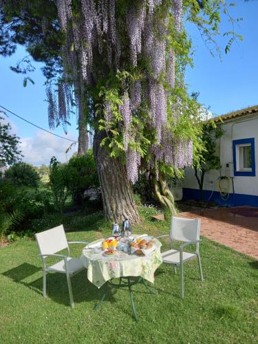 Vườn quanh Monte Da Serralheira Agro Turismo