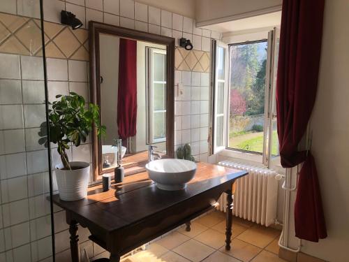 ein Badezimmer mit einem Waschbecken, einem Spiegel und einer Pflanze in der Unterkunft Le Clos Ayanna in Crémieu