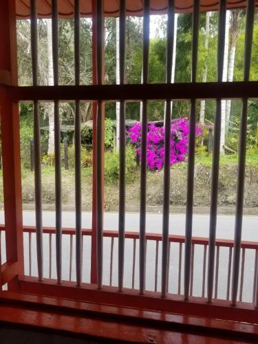 Сад в Hostal Rio Arabia - Valle De Cocora HOTEL