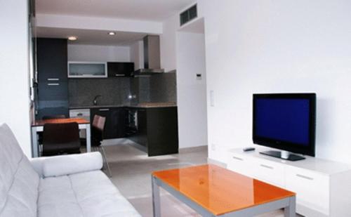 a living room with a couch and a television on a table at Apartaments Verd Natura in Olot