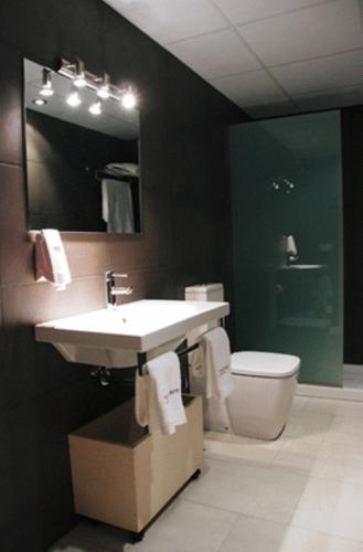 ein Badezimmer mit einem Waschbecken, einem WC und einem Spiegel in der Unterkunft Apartaments Verd Natura in Olot