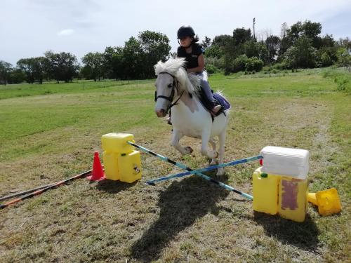 Ein Kind reitet auf einem weißen Pferd und springt über ein Hindernis. in der Unterkunft Domaine Sesquier Mas d'exception Pivoine in Mèze