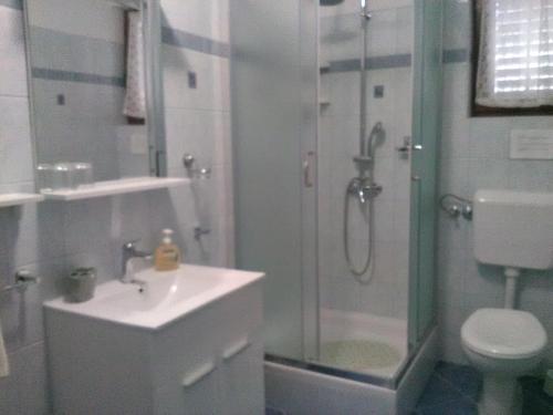 a bathroom with a shower and a sink and a toilet at Apartmani Roza Lopar in Lopar