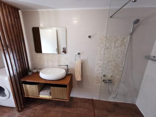 a bathroom with a sink and a shower at Apartments Malic in Pridraga
