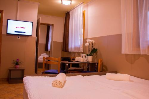 a hotel room with a bed and a television at Huli Panzio in Tokaj