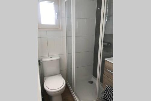 a bathroom with a toilet and a shower at Summer house on the Dutch coast in IJmuiden