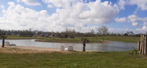 a pond with a tree in the middle of a field at Resort Land & Zee in Scharendijke
