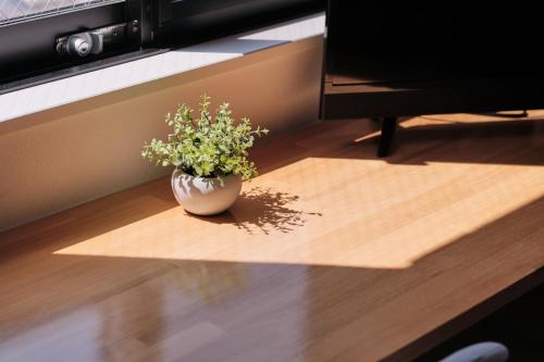 a plant in a vase sitting on a wooden floor at Yoshitsuki kaku - Yoshitsuki Apart Hotel in Tokyo