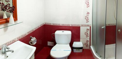 a bathroom with a toilet and a sink at Котедж-парк Славна in Okhtyrka