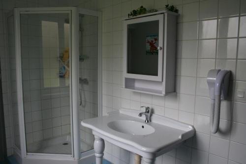 ein weißes Bad mit einem Waschbecken und einer Dusche in der Unterkunft La Maison d'Antoine in Maison-Ponthieu