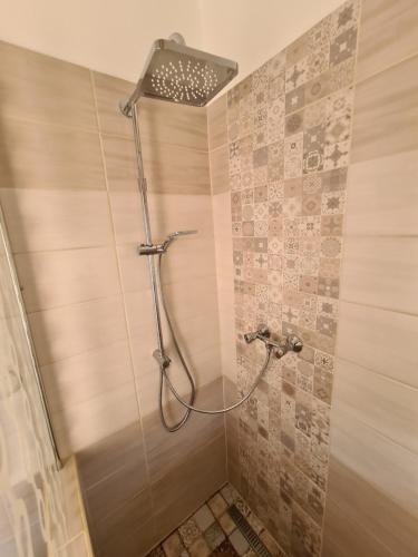a shower with a shower head in a bathroom at Zseki apartman in Hajdúszoboszló