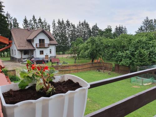 a plant in a pot on a balcony with a house at Kurnik Polski agroturystyka in Tykocin