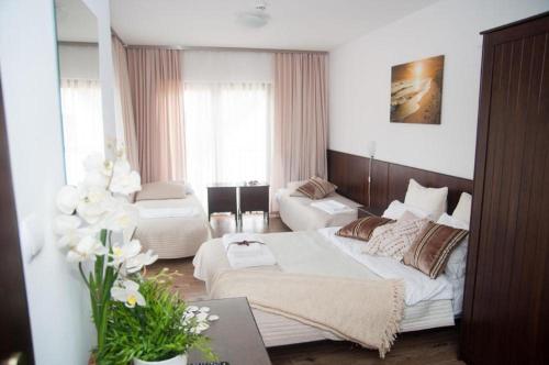 salon z 2 łóżkami i kanapą w obiekcie Grot w mieście Mrzeżyno
