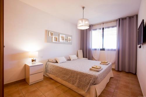 GO2TENERIFE Apart'Tera Solarium, Terraces, Swimming pools & Parking