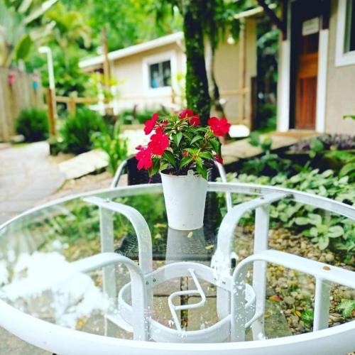 a vase with red flowers sitting on top of a table at Pousada Reserva Penedo in Penedo