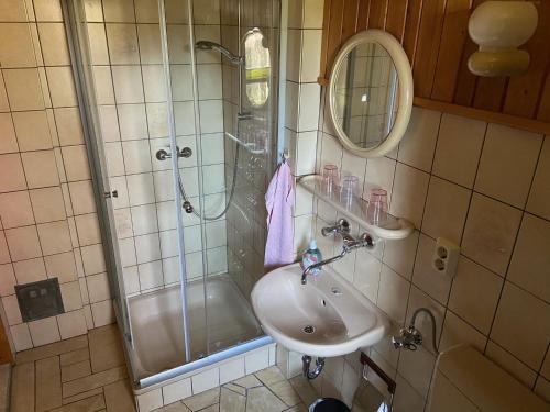 Un baño con ducha, lavabo y espejo. en Ferienhaus Waldblick, en Waltershausen