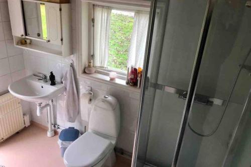 a bathroom with a toilet and a sink and a shower at Sommarstugan in Äspered