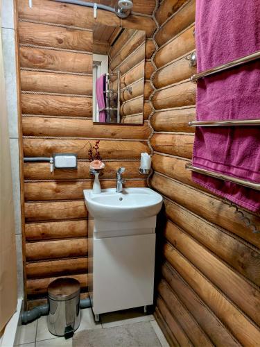 a bathroom with a sink and a wooden wall at Котедж-парк Славна in Okhtyrka