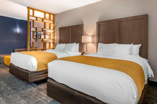 Comfort Inn & Suites Jacksonville - Orange Park