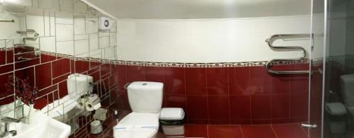 a bathroom with a toilet and a sink at Котедж-парк Славна in Okhtyrka