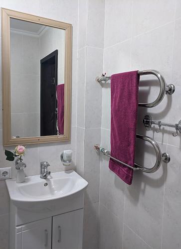 a bathroom with a sink and a mirror at Котедж-парк Славна in Okhtyrka