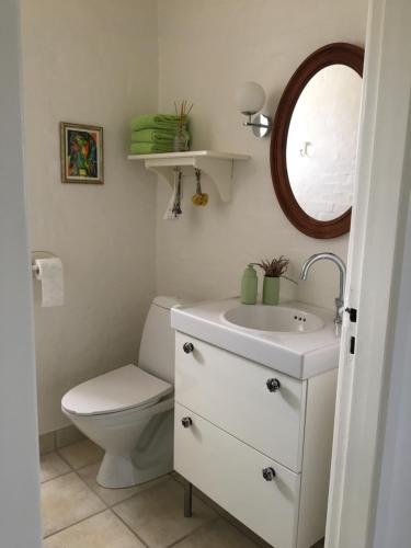uma casa de banho com um WC, um lavatório e um espelho. em Birkevej 9, Ry em Ry