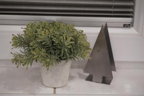 a plant in a white pot next to a window at Jagd trifft Moderne & Boutique Jardin Ferienhaus in Annaberg im Lammertal