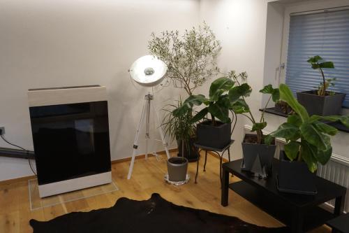 a living room with potted plants and a lamp at Jagd trifft Moderne & Boutique Jardin Ferienhaus in Annaberg im Lammertal