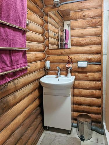 a bathroom with a sink and a wooden wall at Котедж-парк Славна in Okhtyrka