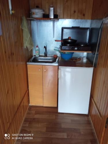 斯拉夫西克的住宿－Гірський краєвид，一间带水槽和冰箱的小厨房