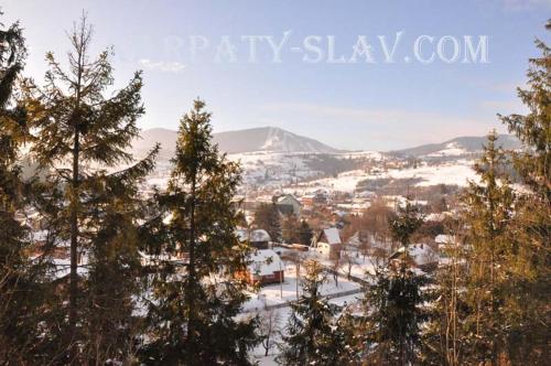 vistas a una ciudad en la nieve con árboles en Гірський краєвид en Slavske