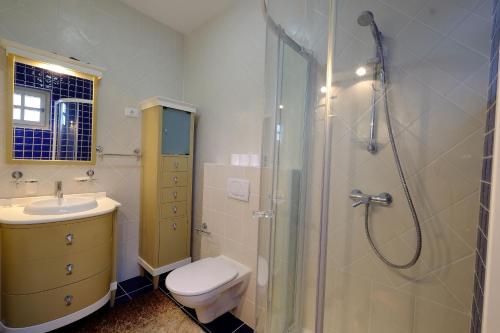 a bathroom with a shower and a toilet and a sink at Luxury VILLA LE ROSE in Poreč