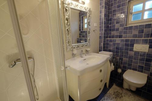 a bathroom with a sink and a toilet and a mirror at Luxury VILLA LE ROSE in Poreč