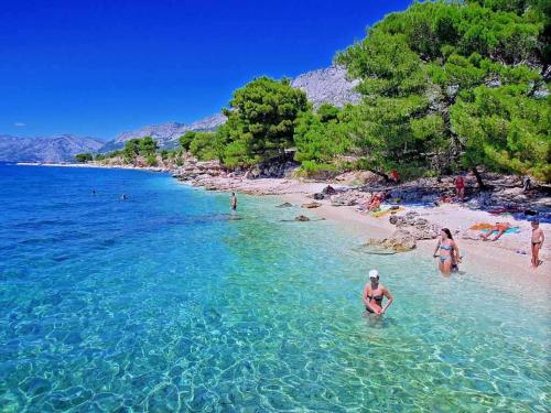 a group of people in the water at a beach at Apartments Erceg in Makarska