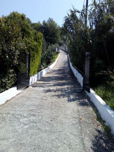 Fotografie z fotogalerie ubytování Villa Xanthippi v destinaci Agia Paraskevi
