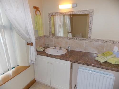 un bagno con lavandino e specchio di Ashleigh House Bed & Breakfast a Monaghan