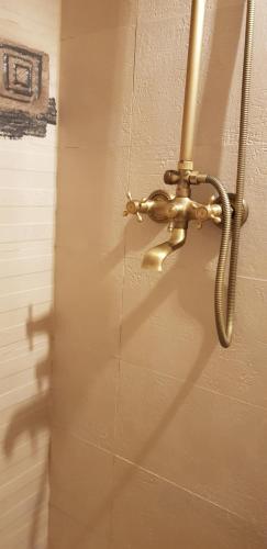 布拉索夫的住宿－SAVAS CLASIC BRASOV，浴室门的墙上设有淋浴头