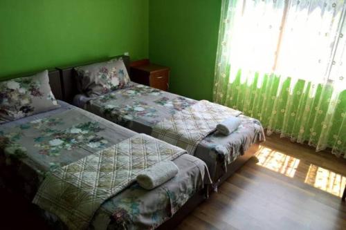 Agara的住宿－SUNLINE VILLA NEAR BATUMI，配有两张床的客房,设有绿色的墙壁和窗户
