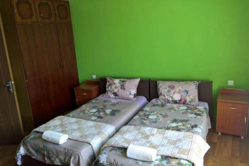 Postel nebo postele na pokoji v ubytování SUNLINE VILLA NEAR BATUMI