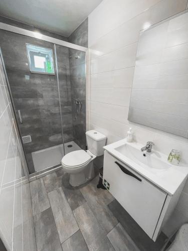 a bathroom with a toilet and a shower and a sink at Little Place Nazaré in Nazaré