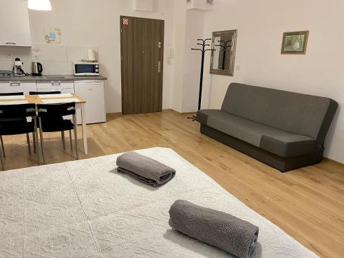 Dapur atau dapur kecil di Apartament SPOKOLOCO:)