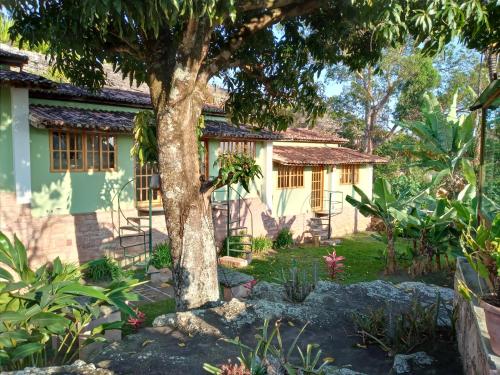 a house with a tree in the yard at Pousada Pedras de Igatu in Igatu