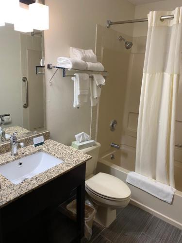 a bathroom with a toilet and a sink and a shower at Quality Inn Morton at I-74 in Morton