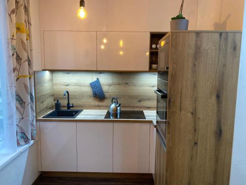 een keuken met witte kasten en een wastafel bij Apartmán Champion II in Pilsen