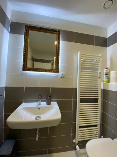 a bathroom with a sink and a mirror at Apartmán Champion II in Plzeň