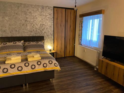 Apartmán Champion II في بلزن: غرفة نوم بسرير وتلفزيون بشاشة مسطحة