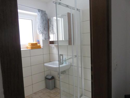 a bathroom with a sink and a glass shower at Reiterhof Finkenmühle Fewo Gipsy in Weißenstadt