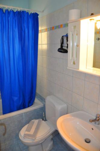 a bathroom with a blue shower curtain and a toilet at Dimitra Apartments Zakros Village in Káto Zákros