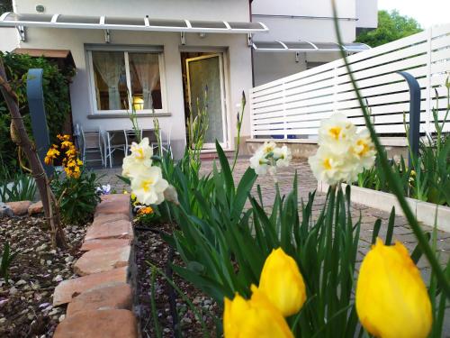 BHH BOLOGNA HOLIDAY HOME private Garden Reserved Parking -wwwbolognaholidayhomecom- house garden parking photo 43